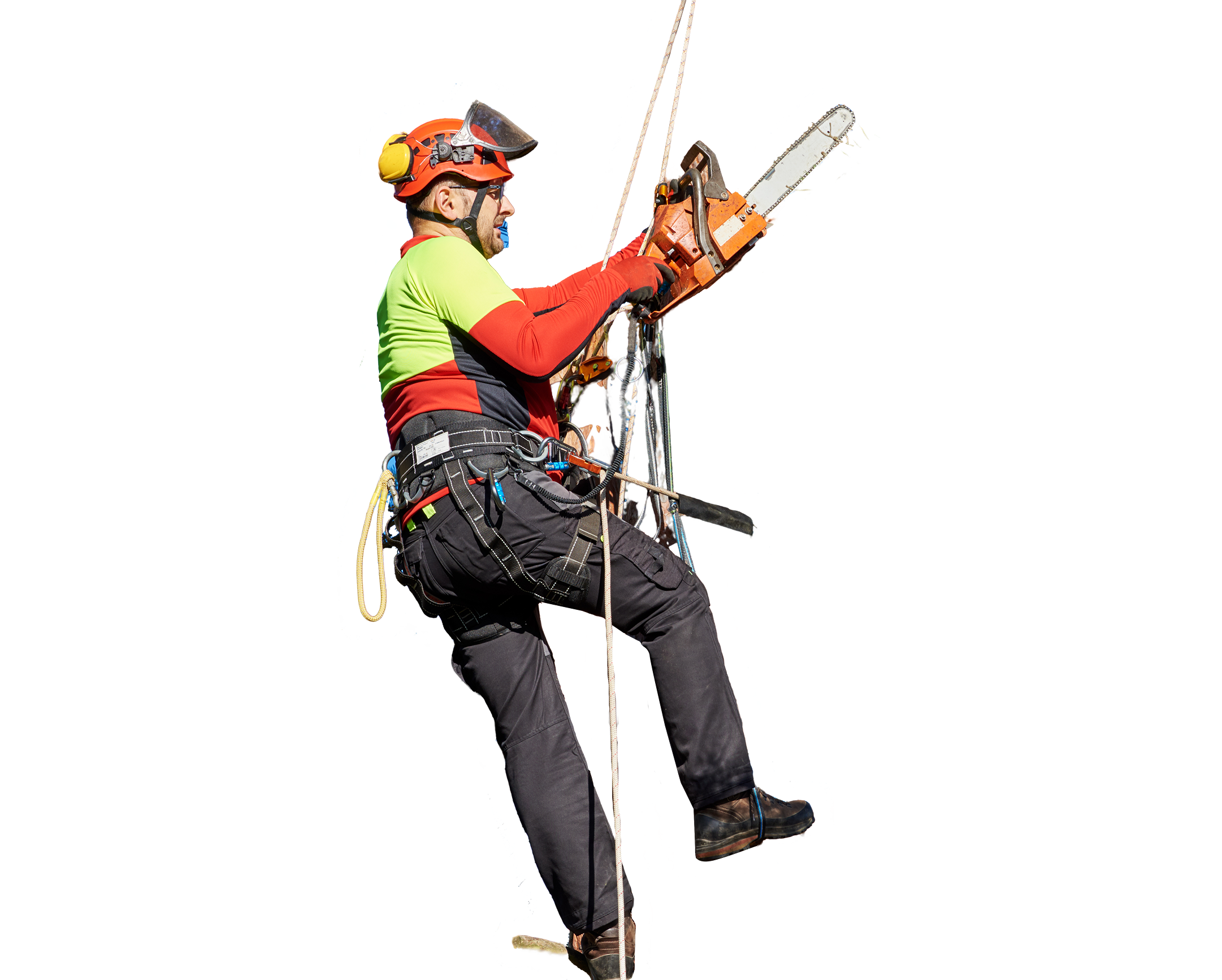 5 Star Tree Service Inc.